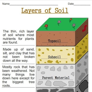 Layers of Soil Printable Worksheets | Digital Download Earth Science Pages