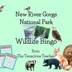 New River Gorge National Park Wildlife Bingo Printable | Digital Download National Parks Game | Animal Bingo Game for Kids Parties Classroom