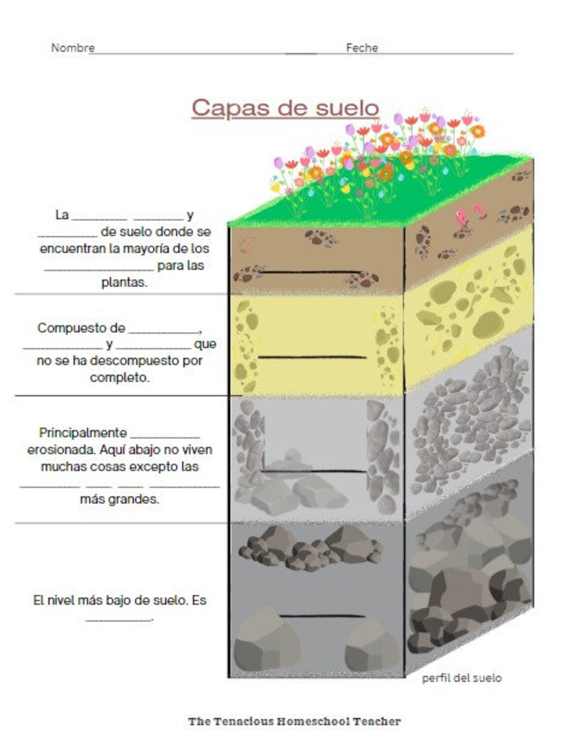 Capas De Suelo layers of Soil in Spanish Etsy