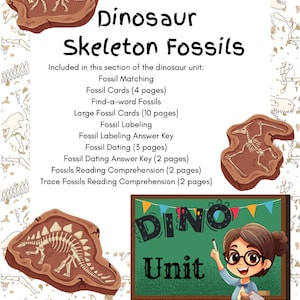 Dinosaurusfossiele activiteiten | Dinofossielen Leerpagina's | Prehistorische lessen voor kinderen