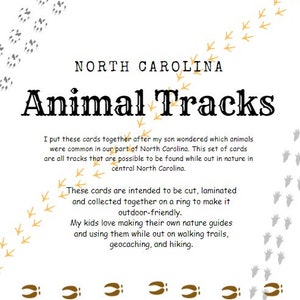 Animal Tracks of NC Printable Cards | Nature Study Digital Download | Hiking Guide for Kids