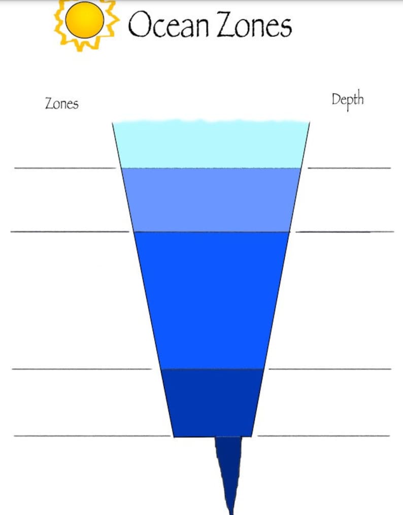 printable-ocean-zones-diagrams-digital-download-earth-etsy-australia
