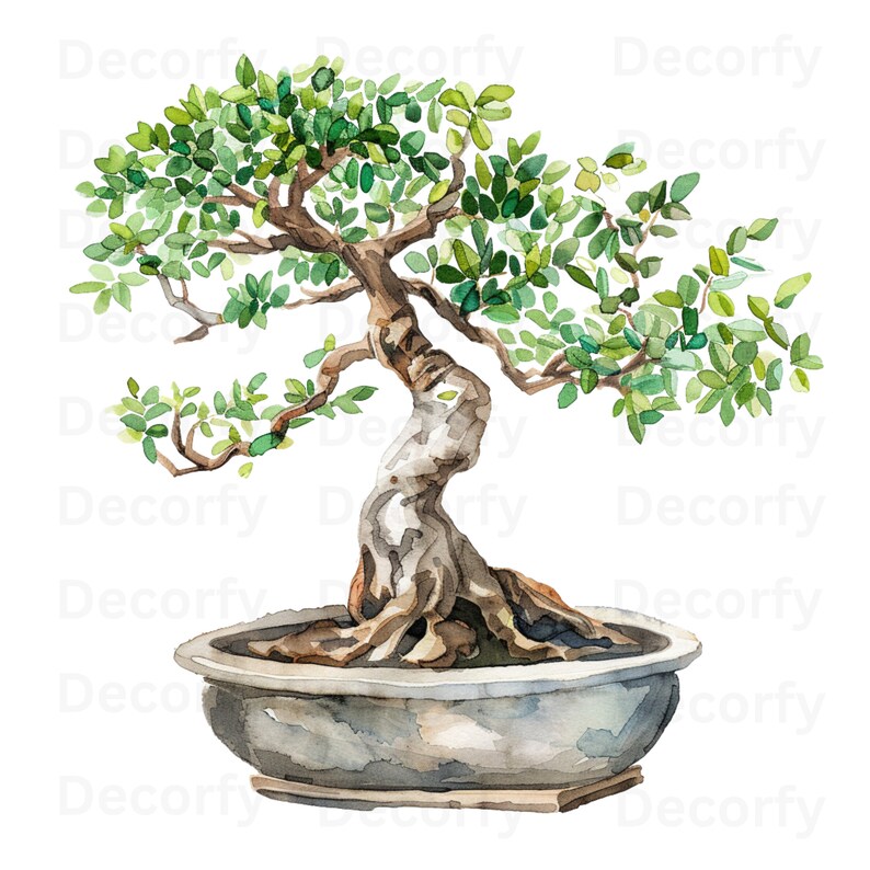 10-bonsai-tree-clipart-mini-tree-clipart-printable-watercolor-clipart