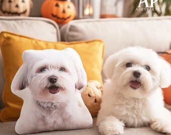 Personalized Pet Halloween Pillow, Cat Lover Gift, Dog Lover, Custom Throw Pillow, Christmas Gift, Birthday Gift, Pet Lover Gifts-DE