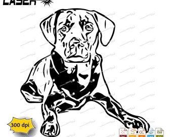 Chocolate Labrador svg png jpg ai dxf file
