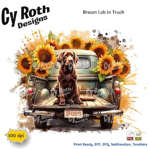 Pode incluir: Ilustração em estilo aquarela de um labrador marrom sentado na caçamba de uma caminhonete verde vintage. Girassóis circundam a caminhonete. Os textos "Brown Lab in Truck" e "Boss" são visíveis.