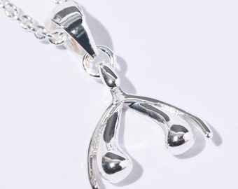 Puede incluir: Collar de plata con un colgante en forma de hueso de la suerte. La cadena es delicada y el colgante es detallado y pulido.