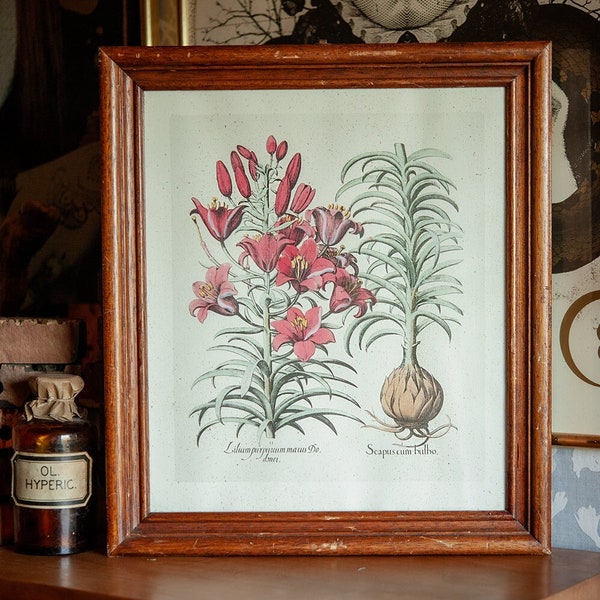 Vintage Bilderrahmen mit botanischem Print
