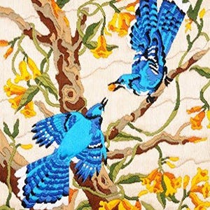 Kit de bordado Anchor Stitch - "BLUE DELIGHTS" - Kit de bordado a mano de puntada larga para hacer tú mismo - Arte con fibra de algodón y decoración del hogar