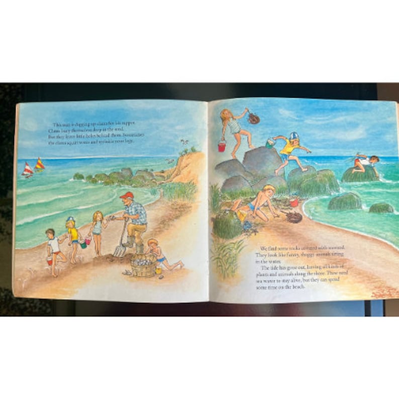 1977 vintage a day at the beach by mircea vasiliu children s classic