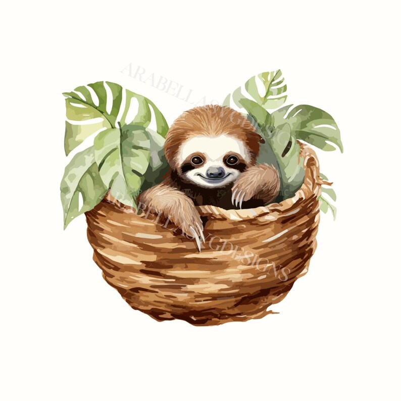 3 Cartoon Baby Sloth SVG, Jungle Animals Clipart, Hanging Sloth, Sloth ...
