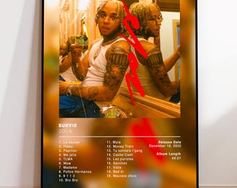 Zola's Survie Album Poster, rap posters, album cover, album wall art, custom album poster, rapper poster, French rap