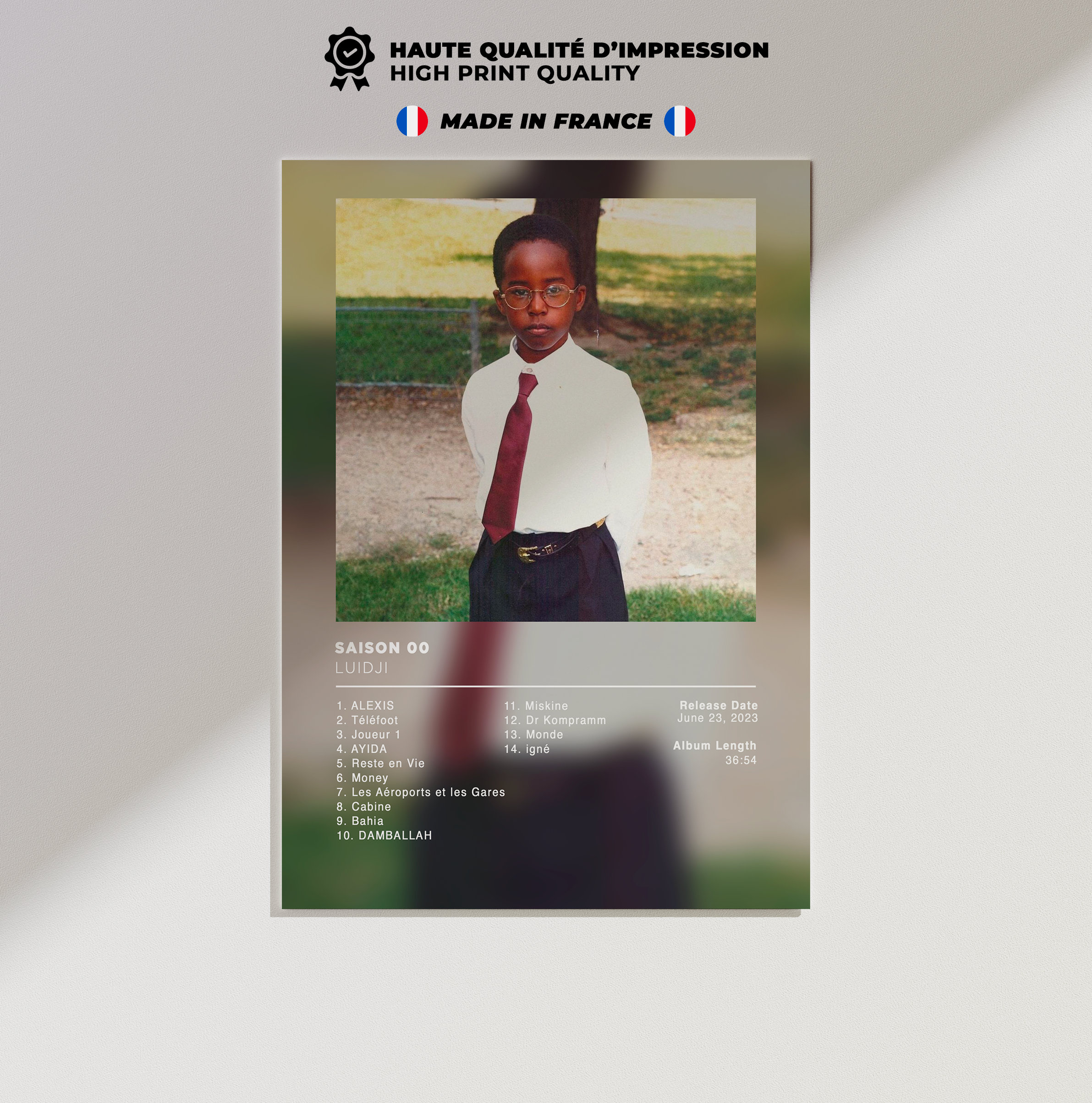 Poster Toile Luidji - Décoration Murale 20x30 Cm, Impression Haute Qualité