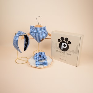 May include: A blue and white gingham dog bandana, headband, and scrunchie set. The items are displayed on stands and a plate. The box in the background is labeled "Pawsbury Lane - Friends that bark."