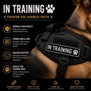 Könnte beinhalten: Ein rechteckiger schwarzer Aufnäher mit weißem Sticktext IN TRAINING und einem weißen Pfotenabdruck-Symbol. Der Aufnäher ist an einem schwarzen Hundegeschirr befestigt, das von einem Hund mit braun-schwarzem Fell getragen wird. Das Bild enthält Text.