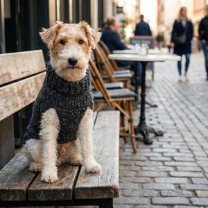Peut inclure: Un chien terrier, vêtu d'un pull-over gris foncé, est assis sur un banc en bois. Le chien a un pelage beige et blanc et regarde l'appareil photo. L'arrière-plan montre une scène de rue avec des tables, des chaises et des passants.