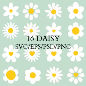 Daisy svg, Daisy Svg Bundle, Daisy Flower Svg, Daisy Silhouette, Daisy, Daisy clipart, Daisy cut file, Margaritas, Flores Svg, Flor, Svg,Png