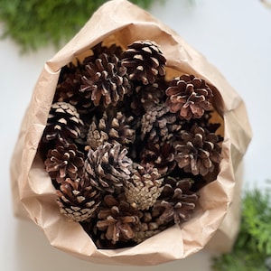 30/60/90 Stk. Tannenzapfen für Dekorationen, Kränze oder Blumensträuße. Weihnachtsdeko