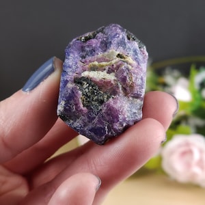 Stunning Red Ruby Black Tourmaline Natural Gem | Reiki Crystal Cluster Healing Stones