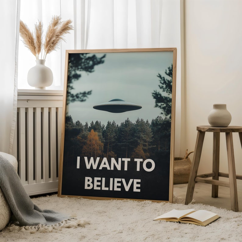 May include: A framed poster with a black background and the text "I WANT TO BELIEVE" in white. The poster features a blurry image of a flying saucer in a forest.