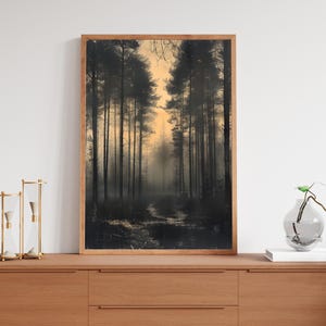 May include: A framed photograph of a misty forest scene with tall trees and a path leading into the distance. The trees are silhouetted against a pale orange sky.