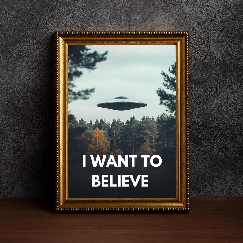 May include: A framed print with a picture of a flying saucer in a forest. The text "I WANT TO BELIEVE" is printed below the image.