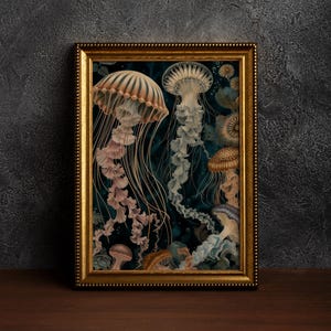 Puede incluir: Una impresión enmarcada de una ilustración vintage de medusas en un océano azul oscuro. Las medusas son de varios tonos de rosa, azul y marrón con detalles intrincados.