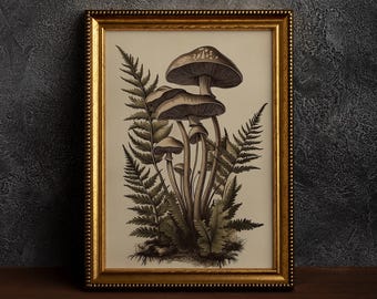 Vintage Mushroom Botanical Art | Antique Fungi Illustration | Rustic Botanical Decor | Nature Mushroom | Forest Plant | Cottagecore Mushroom
