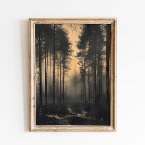 May include: A framed print of a forest scene with tall trees and a misty path leading into the distance. The trees are silhouetted against a golden sky, creating a dramatic and atmospheric effect.