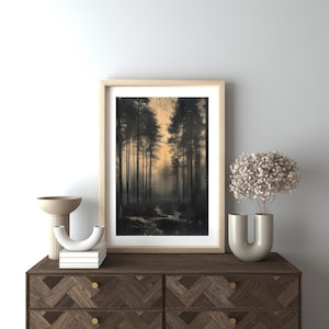 May include: A framed photograph of a forest path lined with tall trees, with a soft, golden light filtering through the branches. The trees are silhouetted against the light, creating a sense of mystery and depth.