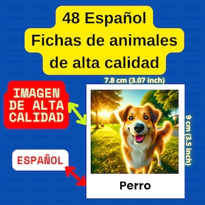 48 cartes mémoire d'animaux de haute qualité en espagnol - Ferme, forêt, mer, oiseaux | Enfants bilingues qui apprennent | Préscolaire | ALS | Tout-petit | Montessori
