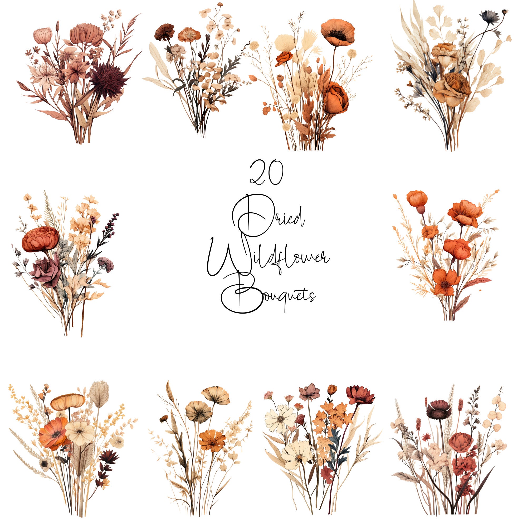 Dried Wildflower Clipart | Terracotta Wildflower Clipart | Fall Dried ...