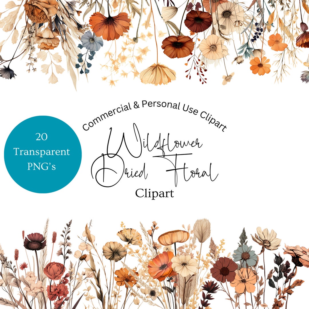 Dried Wildflower Clipart | Terracotta Wildflower Clipart | Fall Dried ...