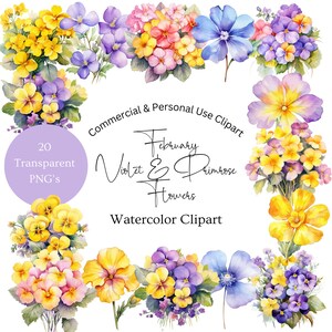 Februar Geburt Blumen Clipart | Geburt Monat Blumen Clipart | Primrose Blumen Clipart | Violette Blumen Clipart | Aquarell Geburtsmonat Blume