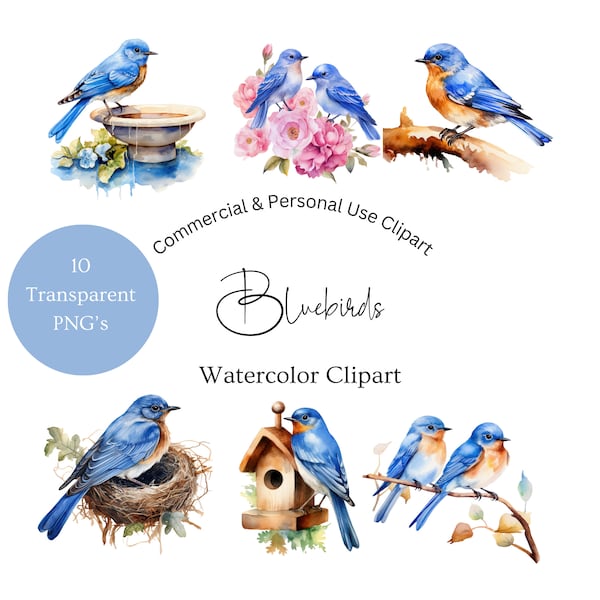 Bluebird Clipart | Watercolor Watercolor Bluebird Clipart | Watercolor Bird Clipart | Birds Nest Clipart | Blue Bird Clipart | Floral Bird