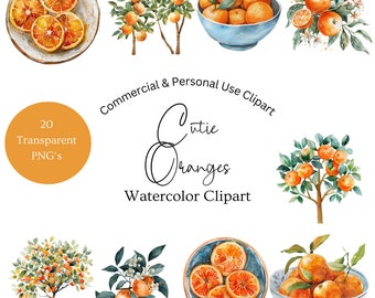 Cutie Orange Clipart | Orange Watercolor Clipart | Cutie Orange Png | Orange Fruit Clipart | Clipart Orange Blossom