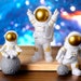 see more listings in the Astronaut section