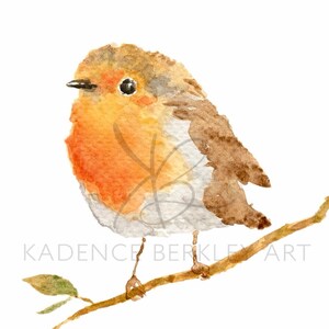 European Robin Bird Watercolor Painting: 5x7 Giclée Print on Matte Textured Fine Art Paper Bild 3