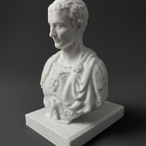 May include: A white bust of a man with short hair, wearing a draped garment, and a detailed chest piece. The sculpture is mounted on a rectangular base. The bust is a classical art piece.