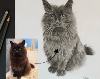 Haustierportrait gezeichnet, Katzenzeichnung in Kohle und Bleistift, schwarz-weiß, Erinnerung an Haustier, Andenken
