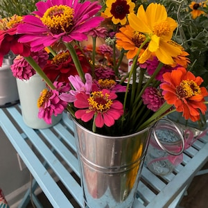 Easy to Grow Garden Flowers - Vintage Heirloom State Fair Zinnia Flower Seeds | Mixed Color Zinnias