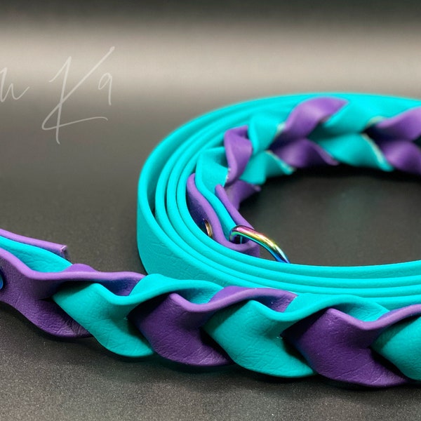 Braided Leash