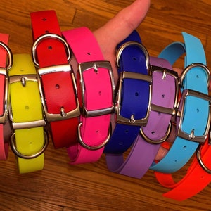 Custom 1&quot; Biothane Collar