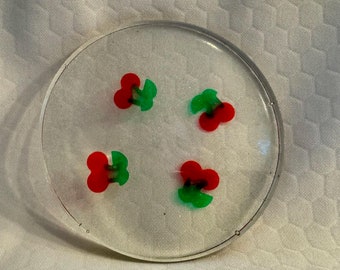 Fruity Fun Coasters Set of 4