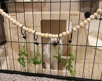 Bunny/Guinea Pig Enrichment Garland