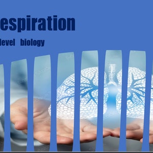 respiration a level biology ocr a revision notes