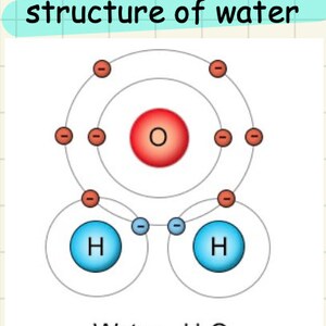 water a level biology ocr a revision summary notes