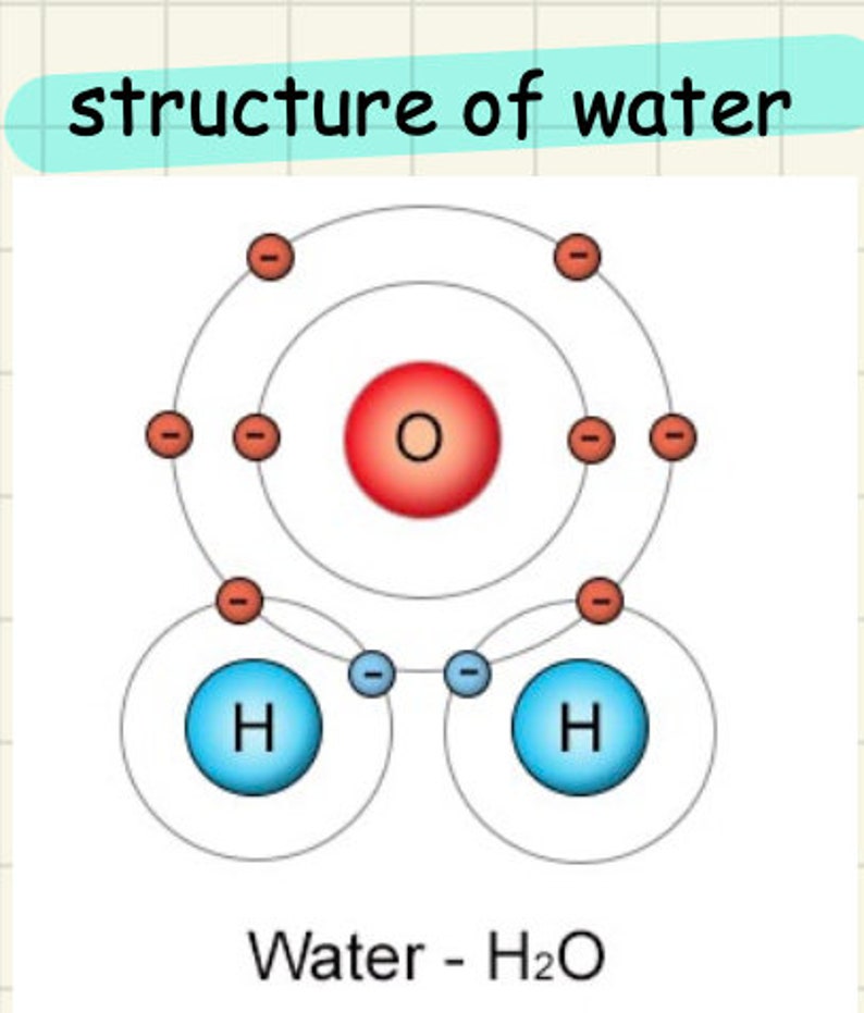 Water A Level Biology Ocr A Revision Summary Notes Etsy Water A Level Biology Ocr A Revision Summary Notes Etsy