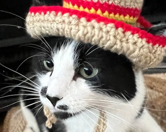 Sombrero Crochet Handmade Pet Hat for Cat, Dog, Bunny Accesories and Costumes for Pets