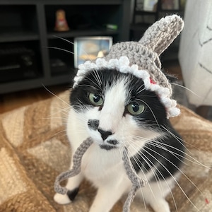Shark fin with teeth Crochet Handmade Pet Hat for Cat, Dog, Bunny Accessories and Costumes for Pets